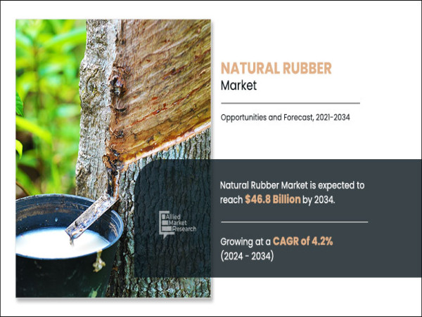  Natural Rubber Market Unlocking Potential Mapping New Success Strategies with Market Size Insights 