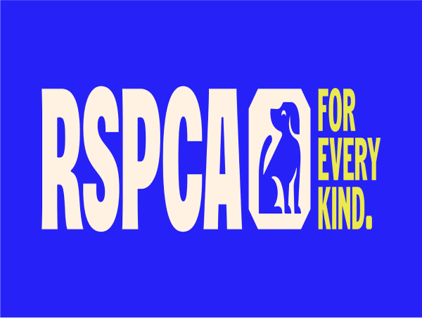  Skinny Dog Dumped Close to Death; Kittens Discarded in bin; Tarantulas Left in box - Among Reports to RSPCA This Winter 