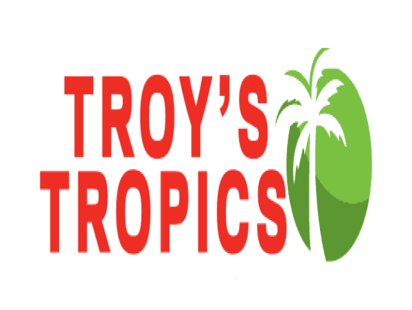  Enhance Your Property with Troy’s Tropics Landscaping Services in Sarasota, FL – Design, Installation, and Maintenance 