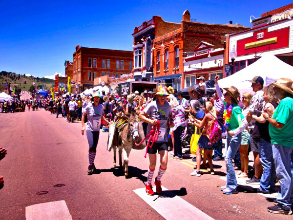  It’s a Donkey Summer in Cripple Creek, Colorado 