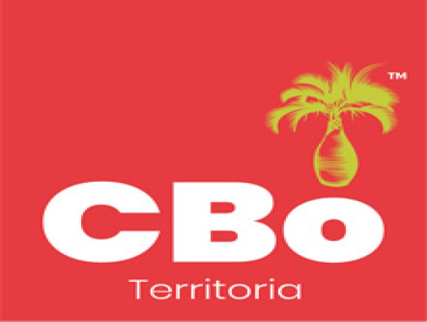  Cbo Territoria : 2024 Consolidated Revenue 