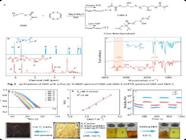  From waste to wonder: the transformation of sulfur into high-performance polymers 