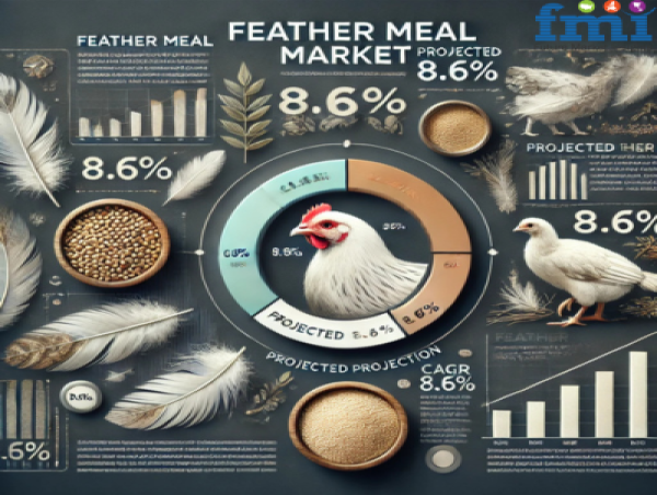  Global Feather Meal Market Analysis: Industry Size, Share, and Future Trends by 2034 