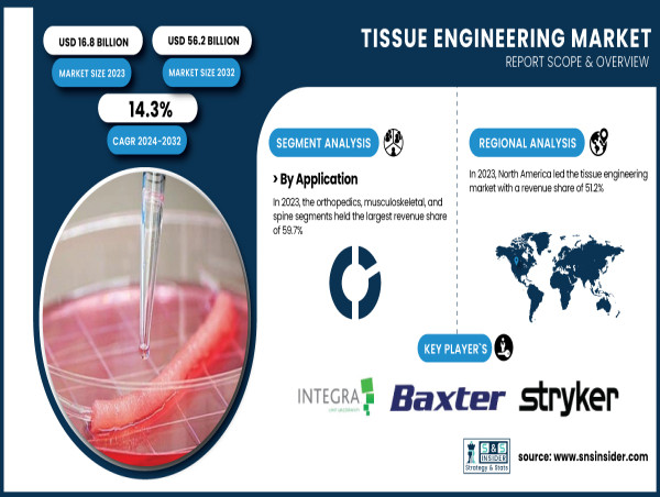  Tissue Engineering Market to Reach USD 56.2 Billion by 2032, Driven by 3D Bioprinting & Regenerative Medicine 