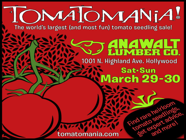  TomatoMania! Takes the Stage in Hollywood 