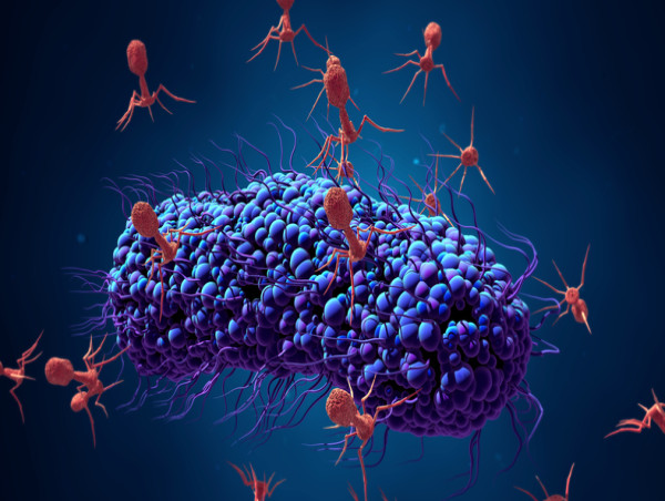  Bacteriophage Therapy Market Projected To Witness Substantial Growth, 2025-2032:Nextbiotics, InnoPhage, Ltd, TechnoPhage 