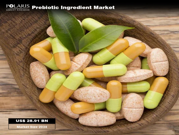  Prebiotic Ingredient Market Size Worth USD 28.91 Billion, Globally by 2034 at 10.9% CAGR | PMR 