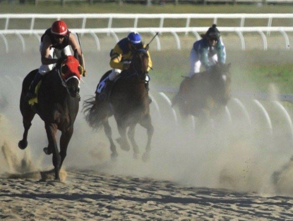  Excitement Builds for the Upcoming 40-year old Horse Race in Elloree, SC 