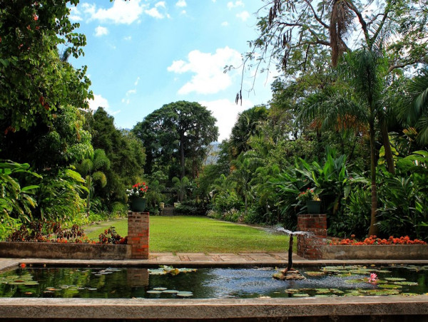  Growing a Sustainable Future at The Royal Botanic Gardens, Hope in Kingston 