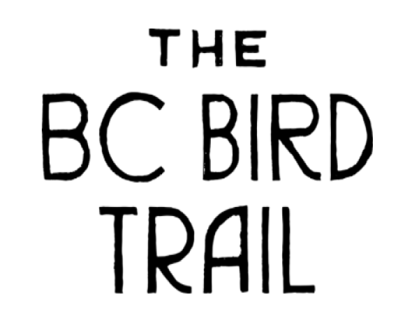  This BC Family Day, Experience Nature’s Spring Migration with the BC Bird Trail 