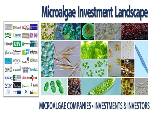  Spirulina Source Launches New Series of Reports on the Microalgae Investment Landscape 