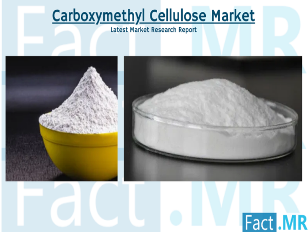  Carboxymethyl Cellulose Market is Projected to Reach USD 2,766.4 Million With 5.1% CAGR By 2032 