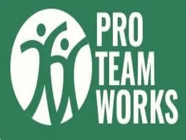  Pro Team Works Introduces Advanced Power Washing Technology for Deeper Cleaning 