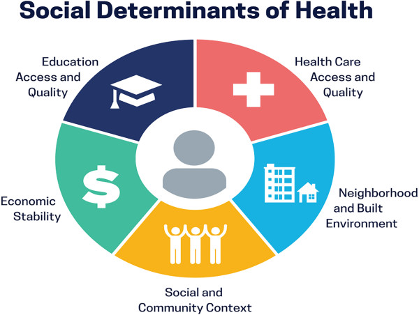  Social Determinants of Health (SDOH) Market Projected To Witness Substantial Growth, 2025-2032: Enli Health Intelligence 