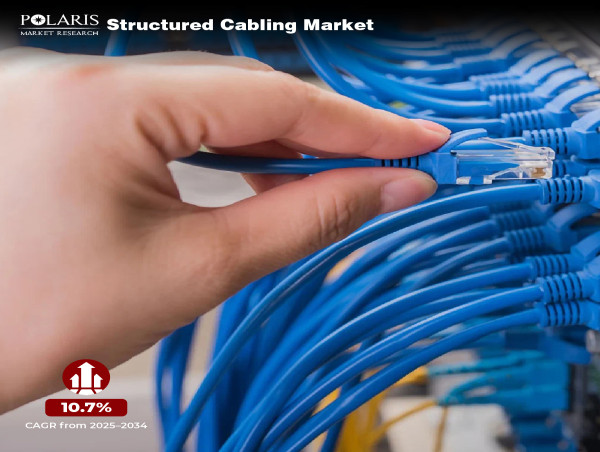  Structured Cabling Market to Grow From US$ 12.62 Billion in 2024 to US$ 34.74 Billion by 2034 Achieving 10.7% CAGR 