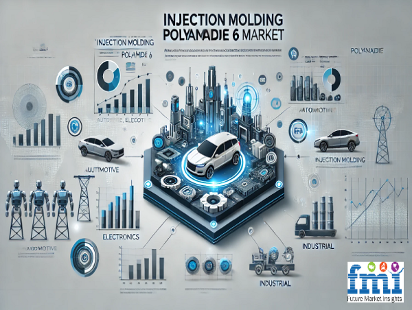  Global Injection Molding Polyamide 6 Market Poised for 6.2% CAGR Growth Amid Rising Demand for Reinforced PA 6 