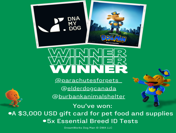  DNA My Dog and DreamWorks Animation’s Dog Man award three animal rescues a $3,000 USD gift card 