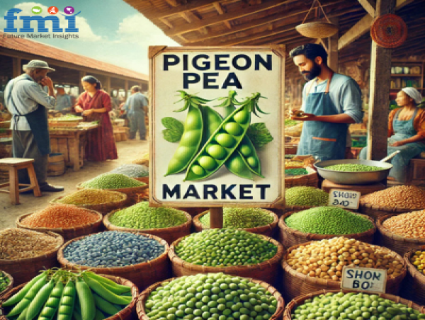  Pigeon Pea Market Poised for Robust Growth, Projected to Reach USD 31,765 Million by 2035 | FMI 