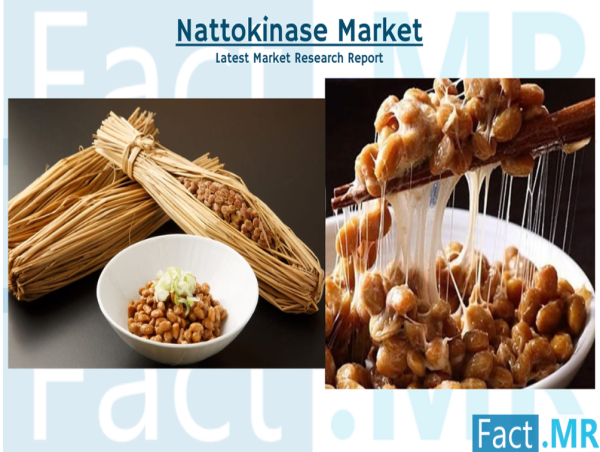  Nattokinase Market is Predicted to Exhibit Expansion at 2.9% CAGR With a Forecasted to Climb to US$ 47.35 Mn by 2033 