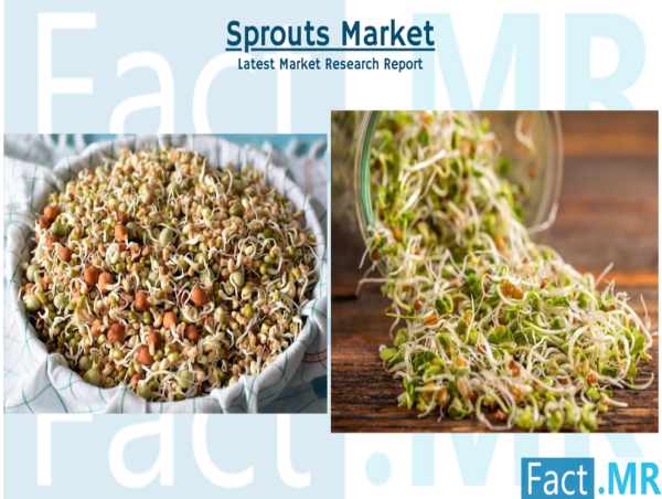  Sprouts Market is Expected to Reach a Valuation of US$ 2 Billion With 3.9% Projected Growth From 2023 to 2033 