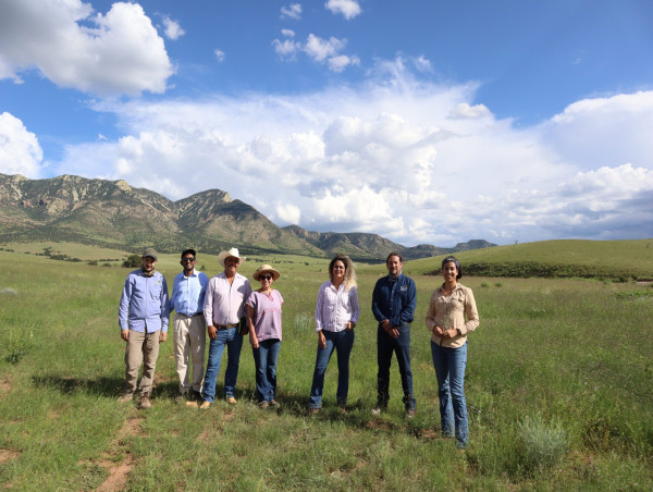  Boomitra Secures Verra Registration for Its First Soil Carbon Project, Unlocking Carbon Finance for Ranchers in Mexico 