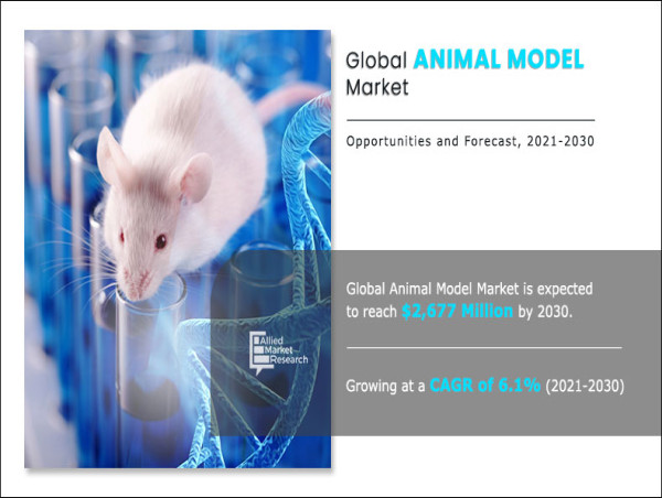  Animal Model Market is projected to reach $3.6 billion by 2032, growing at a CAGR of 6.6% 