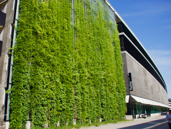  Green Walls Market in 2025 : A Growing Trend in Sustainable Architecture 