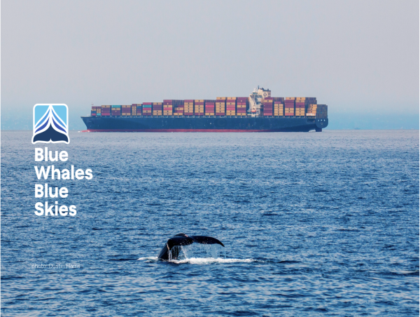  49 International Shipping Companies Opt In to Protect Endangered Whales & Reduce Air Pollution in Coastal Communities 