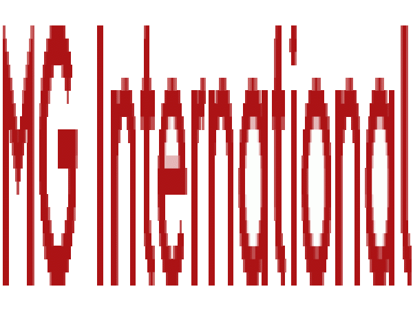  Mg International : Index Egalité Hommes Femmes 2024 