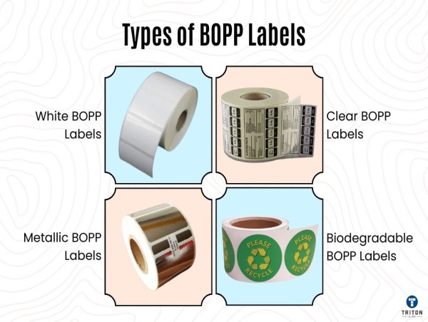  BOPP Labels Market Enhancing Branding Opportunities With Versatile, High-Quality Labeling Solutions 