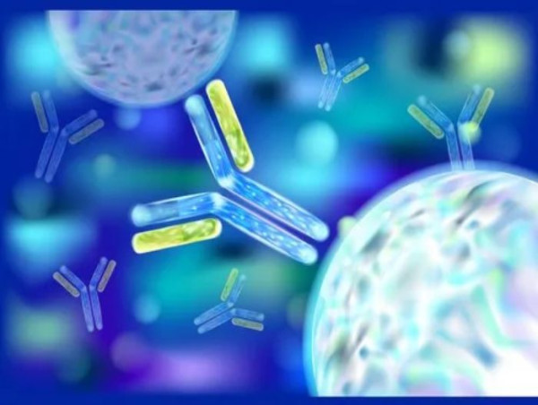  Custom Antibody Service Market Set to Witness Significant Growth by 2025-2032: Thermo Fisher Scientific, Inc., Genscript 