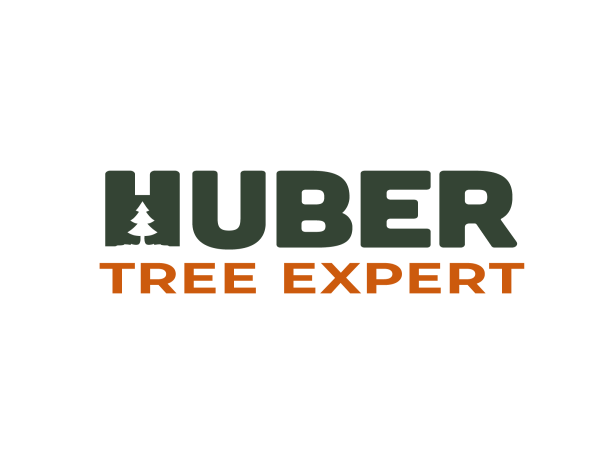  Huber Tree Expert Unveils New Digital Presence Marking Next Chapter in 37-Year Legacy of Excellence 