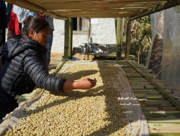  The Glacier Trust And Happy Barista Launch Charity Coffee Roast Supporting Climate Resilience In Nepal 