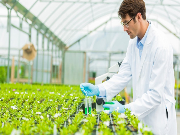  Agricultural Testing Market Dynamics, Growth, and Opportunities by Exactitude Consultancy 