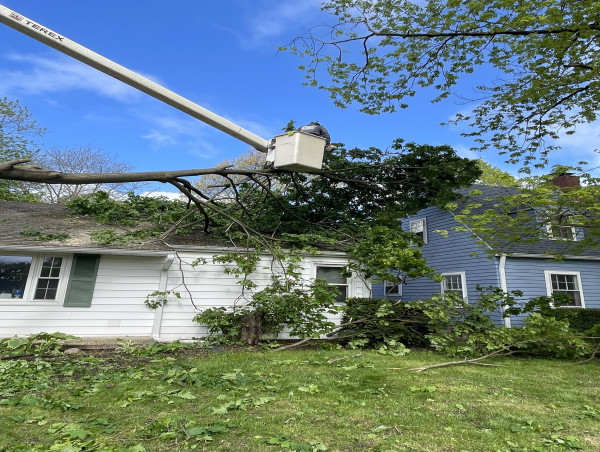  Muncie Tree Services in High Demand as Storms Cause More Property Damage 