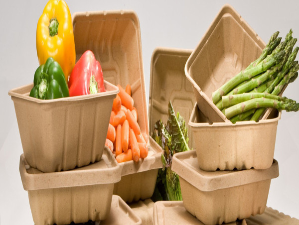  Plant Based Food Packaging Market Top Companies, Business Growth & Investment Opportunities 2032 