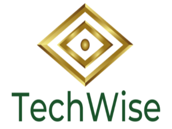  Defense Sector Leader, TechWise, Welcomes Brigadier General (Ret.) Kristin Goodwin as COO 