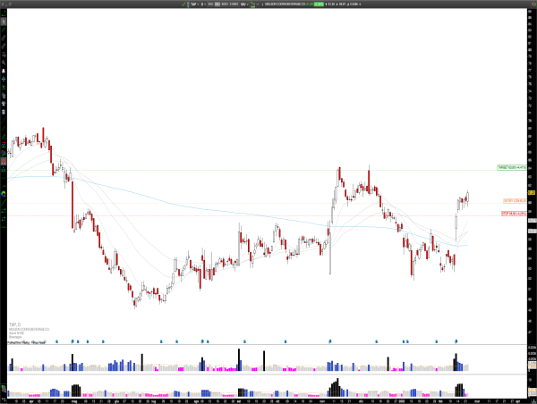  Long TAP: Molson Coors’ Robust Earnings and Strategic Focus Propel Bullish Momentum 