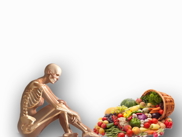  Human Nutrition Market Size to Reach $75 billion by 2034 Growing at 5.3% CAGR Exactitude Consultancy 