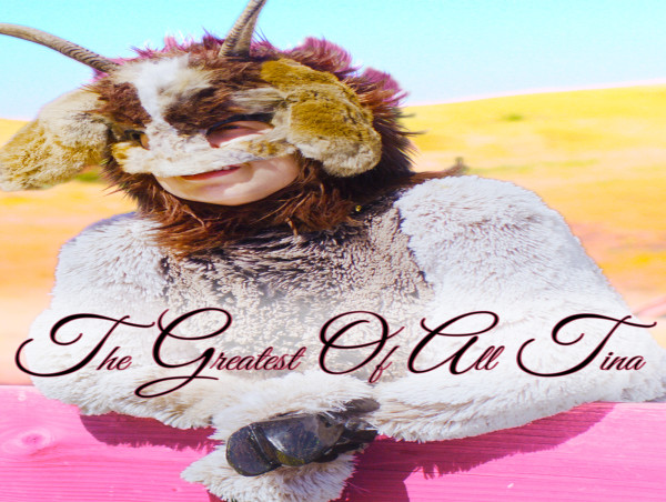  FREESTYLE DIGITAL MEDIA RELEASES BIZARRE COMEDY “THE GREATEST OF ALL TINA” 