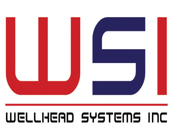  Wellhead Systems Inc. Appoints Gavin Schmitz as President 