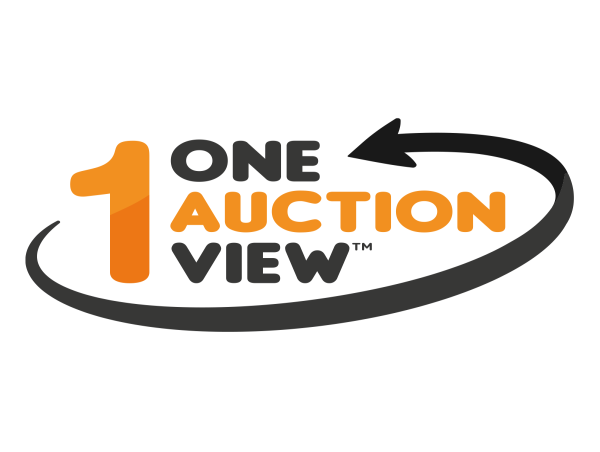  One Auction View® Secures U.S. Patent for Breakthrough Technology Standardizing Automotive Auction Data 