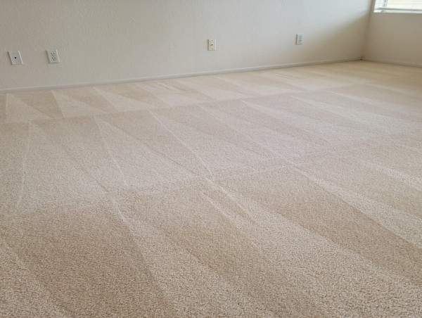  JP Carpet Cleaning Expands Eco-Friendly Floor Care Services in Los Angeles 