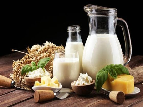  Dairy Nutritional and Nutraceutical Market Rising Demand for Fortified Dairy Products | Exactitude Consultancy 