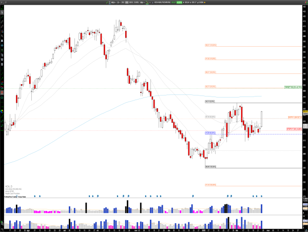  Long HCA: HCA Healthcare’s Robust Earnings and Clinical Excellence Propel Bullish Stock Momentum 