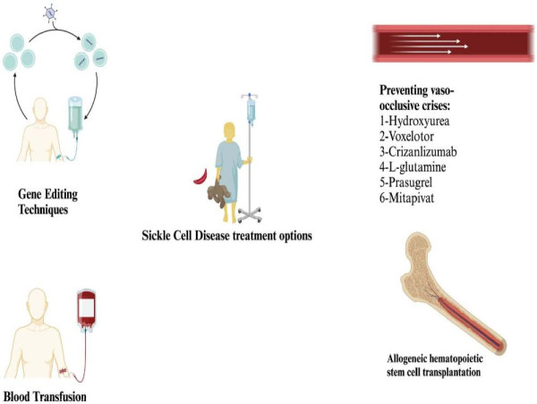  Sickle Cell Disease Treatment Market Projected To Witness Substantial Growth, 2025-2032:Amgen Inc, Bayer AG, Novartis AG 