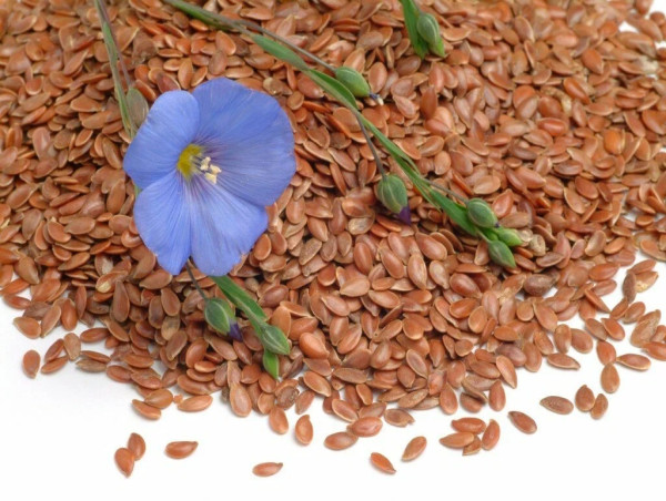  Flax Crop Market to Witness Massive Growth by 2032 | Glanbia plc, CHS Inc., SunOpta Inc., Grain Millers, Inc 