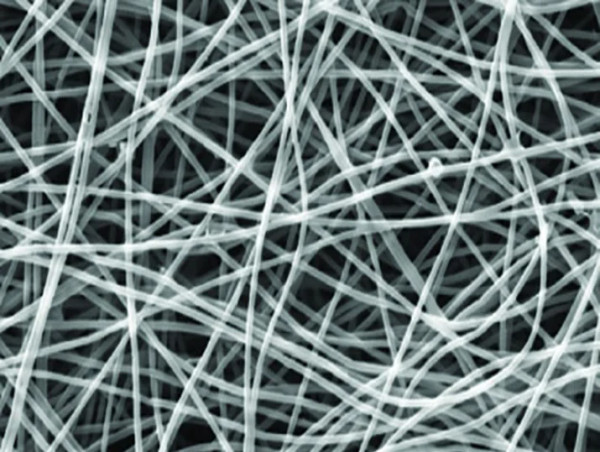  Nanofiber Market Deep Research Report with Forecast by 2032 | SAPPI LTD, SNC Fibers, SPUR AS, TEIJIN LIMITED 