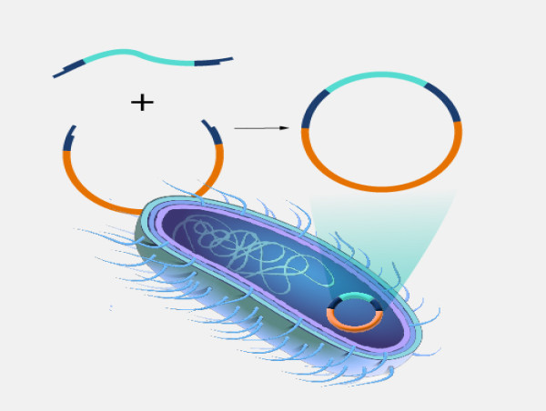  Recombinant DNA Technology Market Projected To Witness Substantial Growth 2025-2032: Profacgen, Monsanto Company, Sanofi 