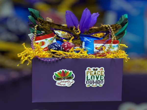  Celebrate Mardi Gras with a Themed Snack Box from Mouse to Your House 